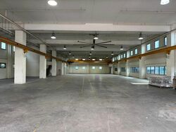 Woodlands Spectrum (D25), Factory #455013001